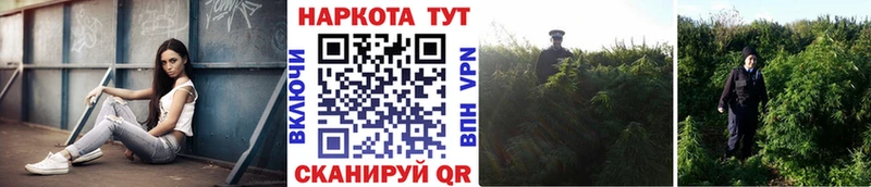 Купить наркотики сайты Козьмодемьянск МДМА МЕФ СОЛЬ Гашиш COCAIN