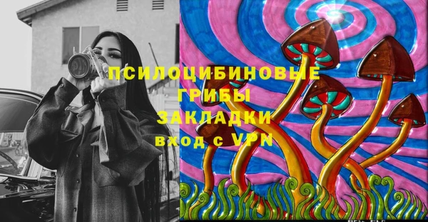 винт Армянск
