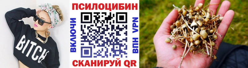 даркнет сайт  гидра как зайти  Галлюциногенные грибы Psilocybe  Козьмодемьянск 